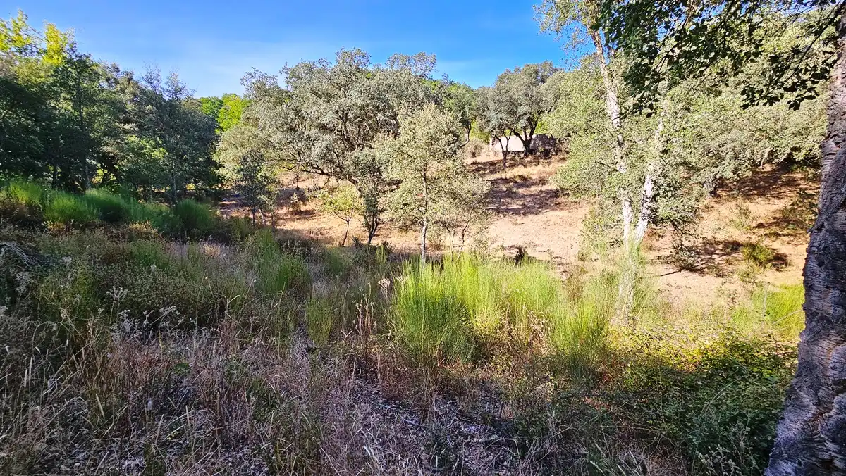 Terreno en venta en Los Marines