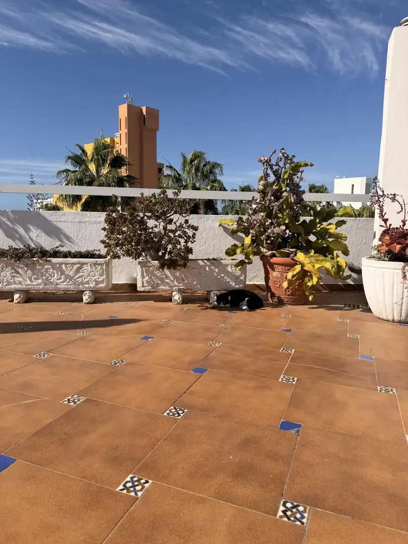 Terrace of Flat for sale in Adeje  with Air Conditioner, Terrace and Furnished