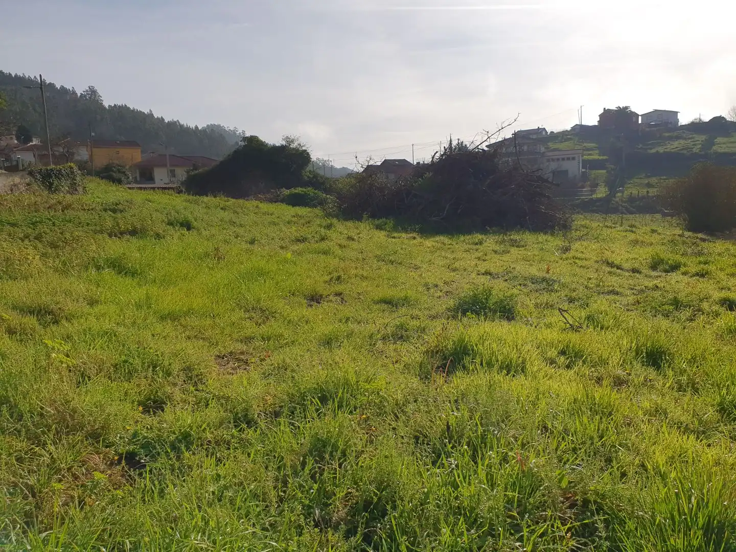 Terrenys i solars en venda a Candamo, imagen 3