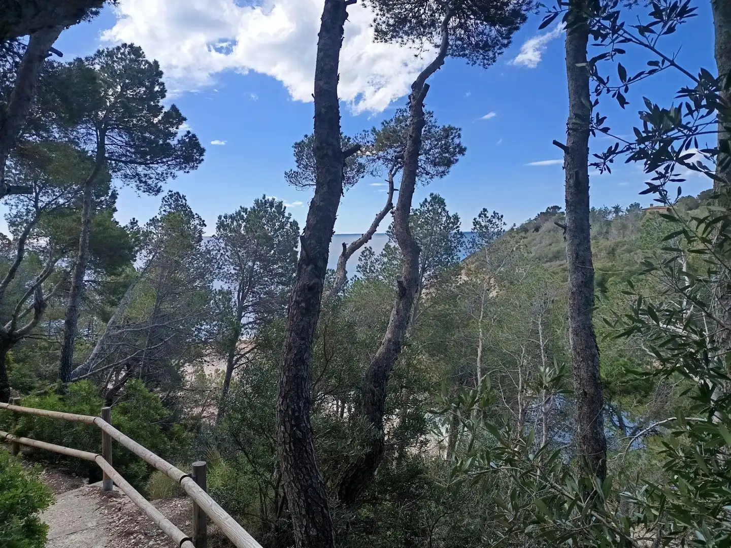 Casa o chalet en venta en L'Ametlla de Mar  con Aire acondicionado, Calefacción y Jardín privado