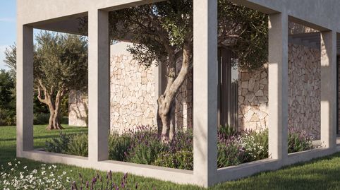 Exclusiva finca de diseño mediterráneo en Llubí, Mallorca, imagen 5