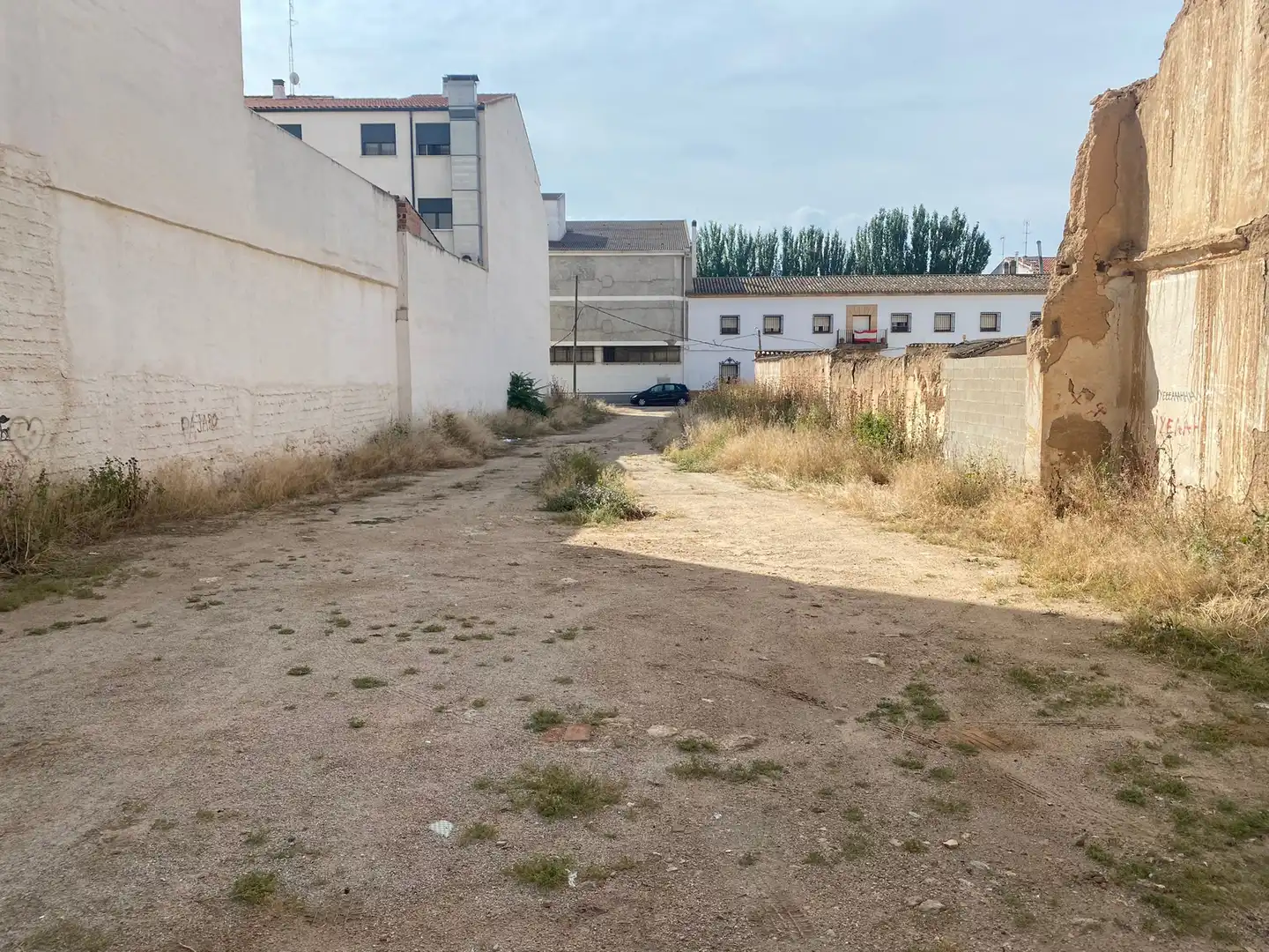 Rural land for sale in Ps de la Estación, imagen 6