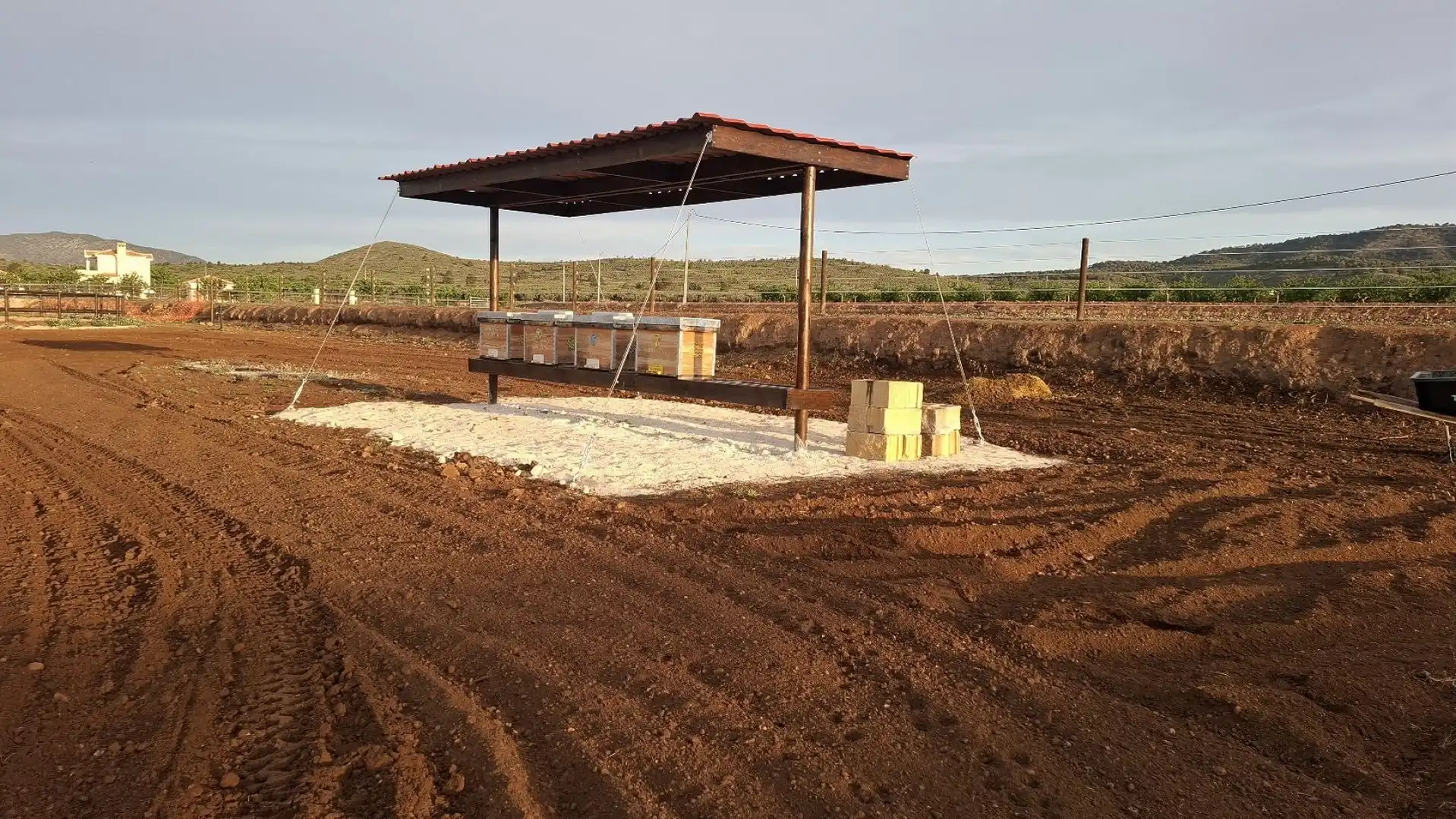 Casa in vendita a El Pinós / Pinoso, imagen 17