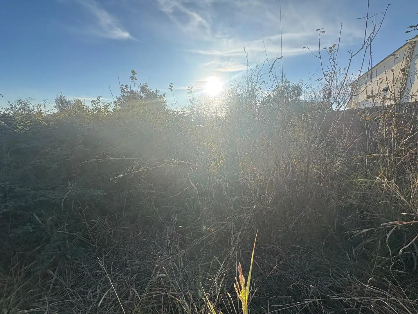 Terreno rustico in vendita a Sant Llorenç d'Hortons, imagen 4