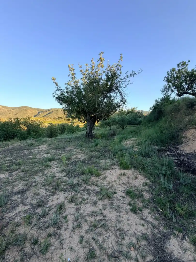 Country homes for sale in Atzeneta d'Albaida