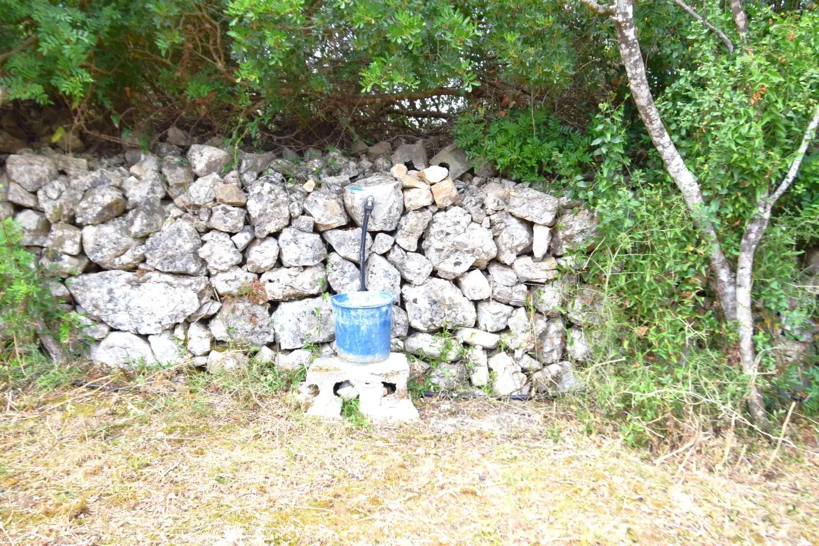 Finca rústica en venda a Petra