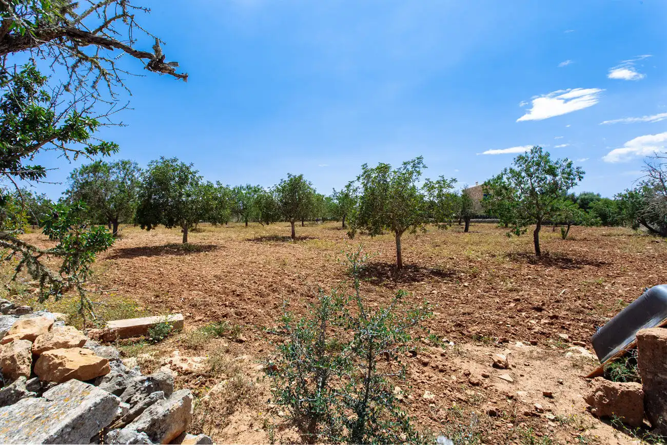 Terrenys i solars en venda a Felanitx Poble, imagen 16