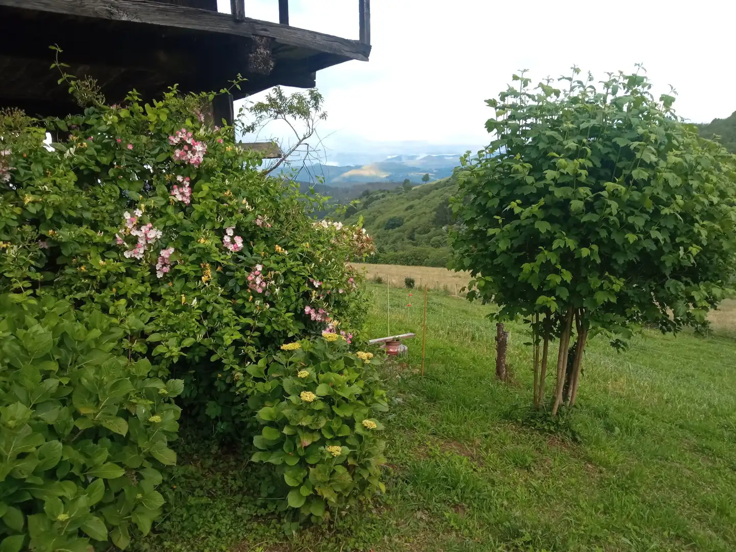 Jardín de Finca rústica en venta en Tineo con Jardín privado, Parquet y Terraza