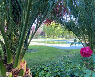 Jardí de Pis en venda en Majadahonda amb Calefacció, Parquet i Terrassa