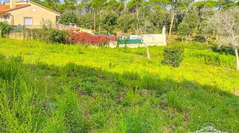 Parcela en venta con salida directa al bosque y una superficie de 1063 m2, totalmente plana y con permiso de construcción.