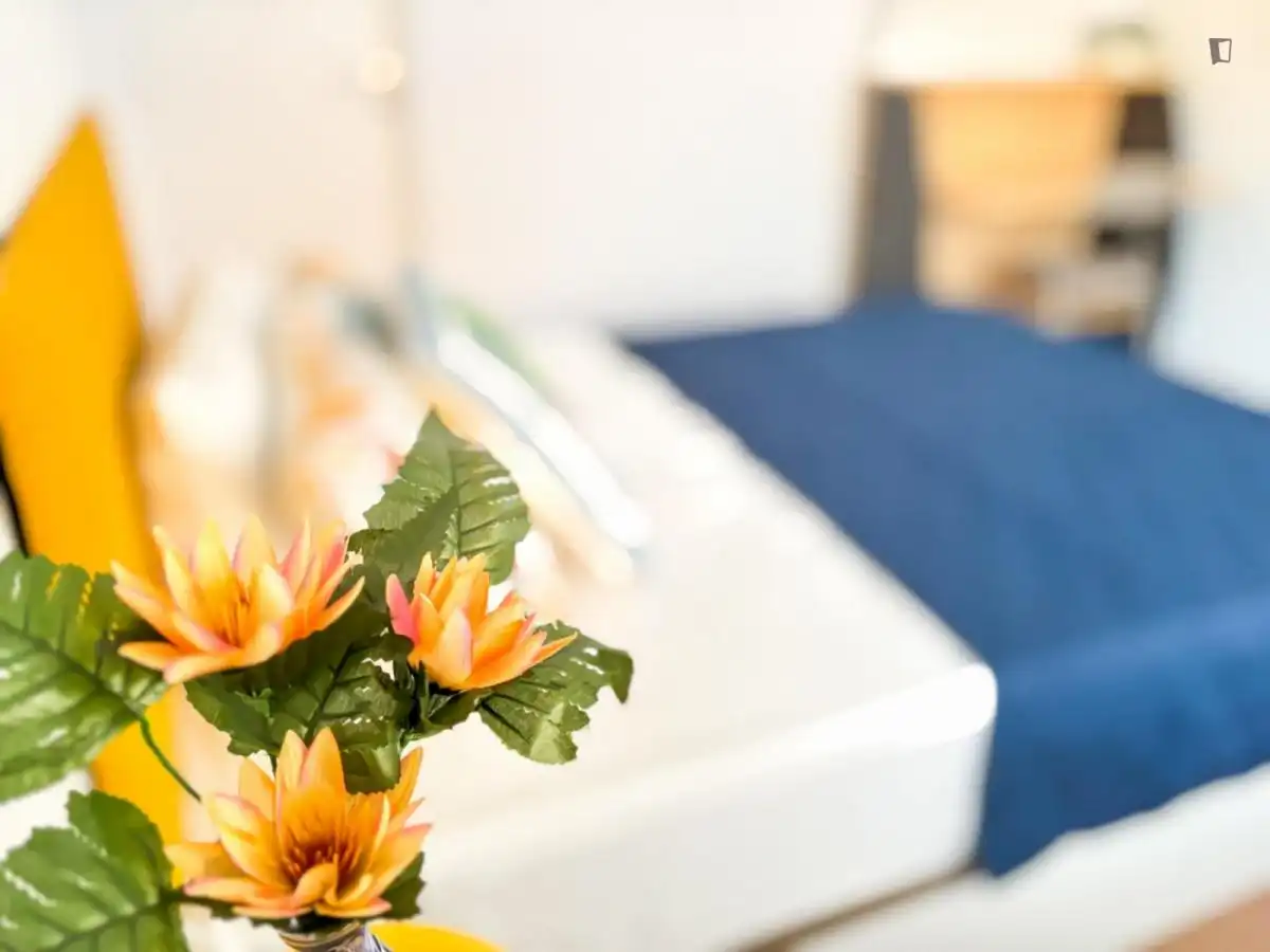 Room in Sol y Luz