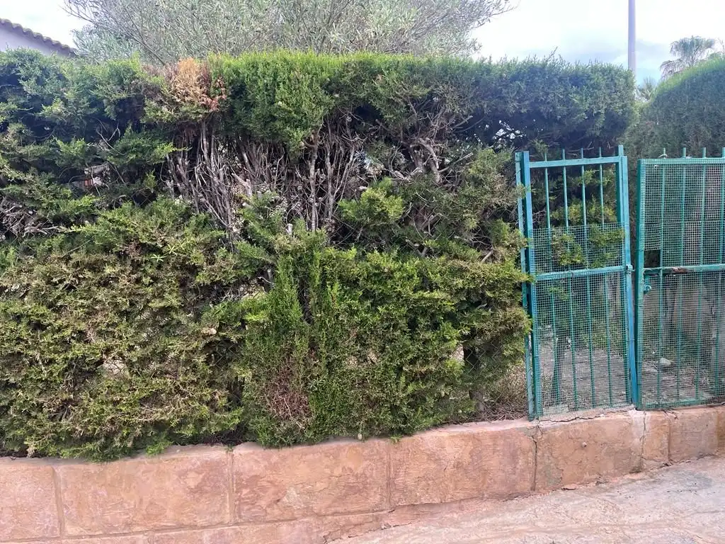 Maison mitoyenne avec jardin à vendre à Santa Ponça, imagen 19