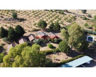 Garden of Country house for sale in Jaraíz de la Vera