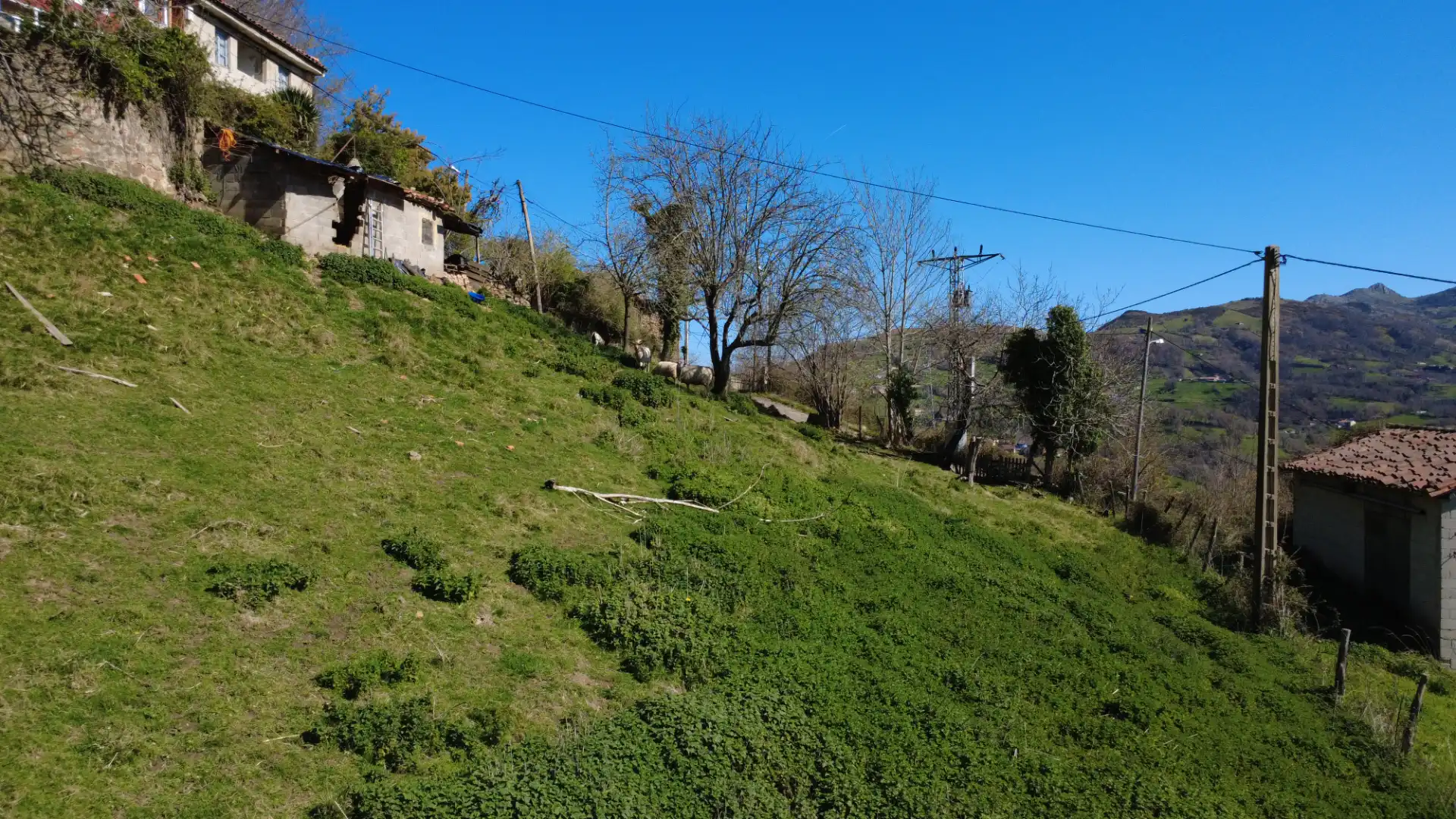 Terreno residenziale in vendita a N/A, imagen 14