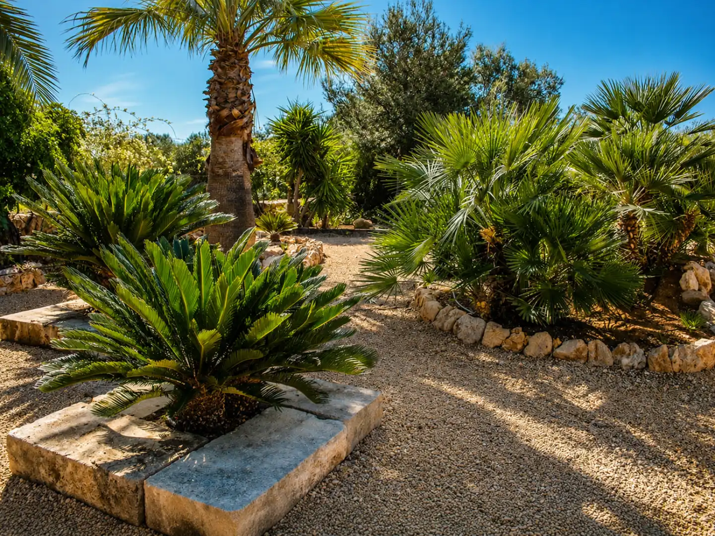 Jardí de Casa o xalet de lloguer en Santa Margalida amb Aire condicionat, Calefacció i Terrassa