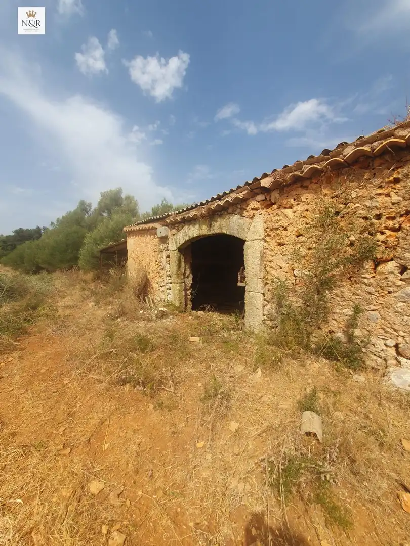 Finca rústica en venta en Sencelles