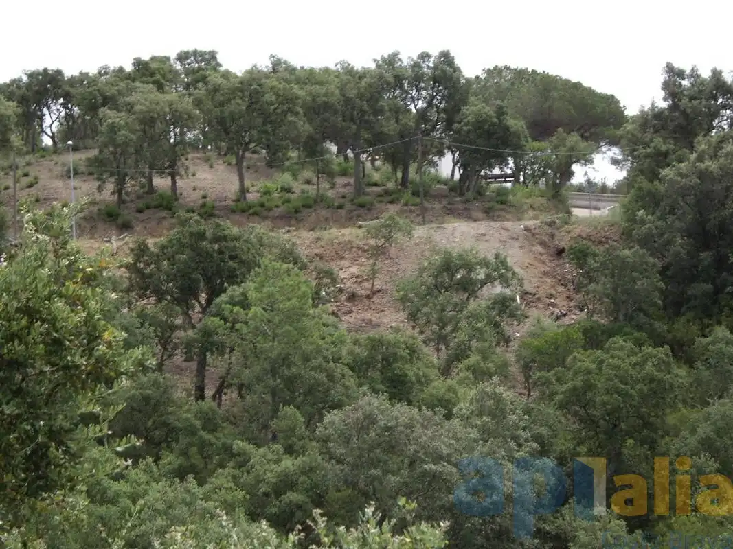 Terreny residencial en venda a Carrer Avet, imagen 6