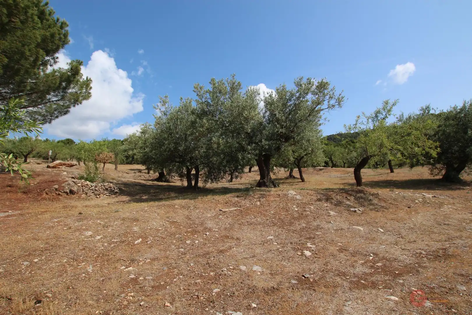 Maison rustique à vendre à Albuñuelas, imagen 18
