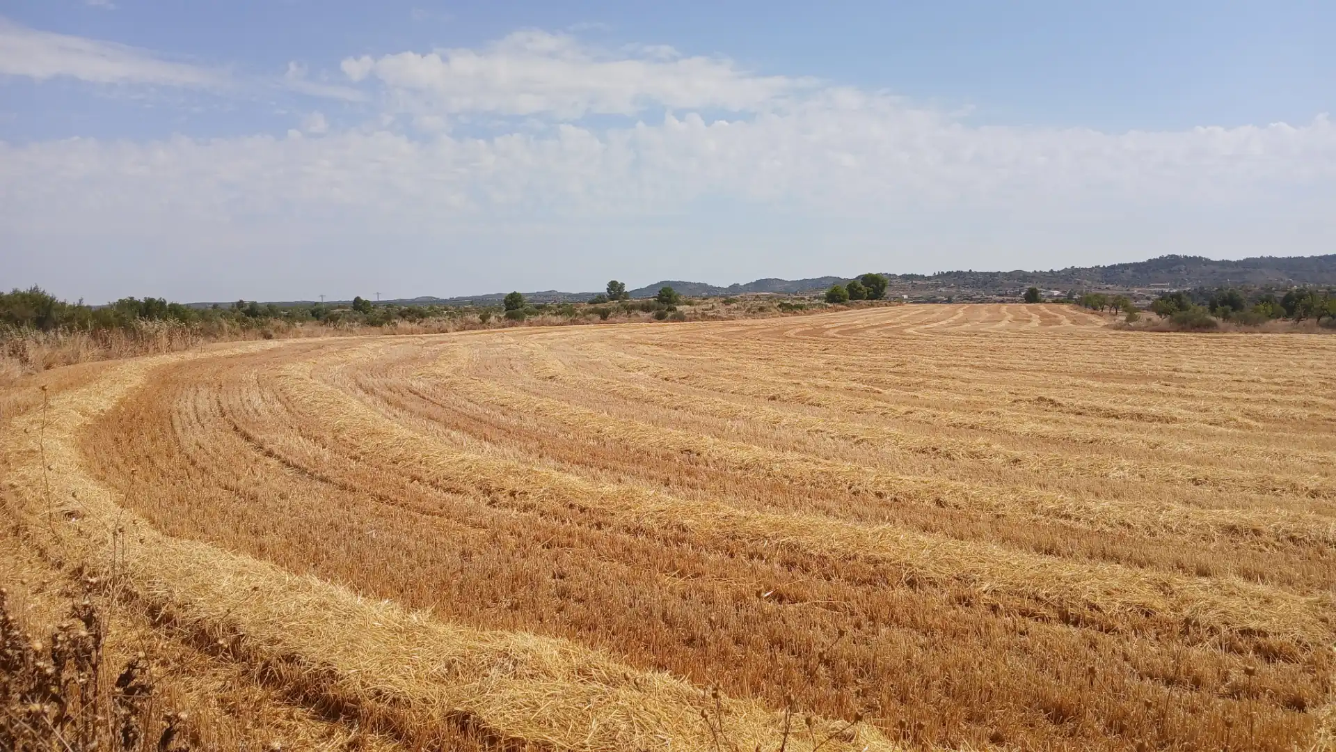 Terreno en venta en Castelserás, Teruel
