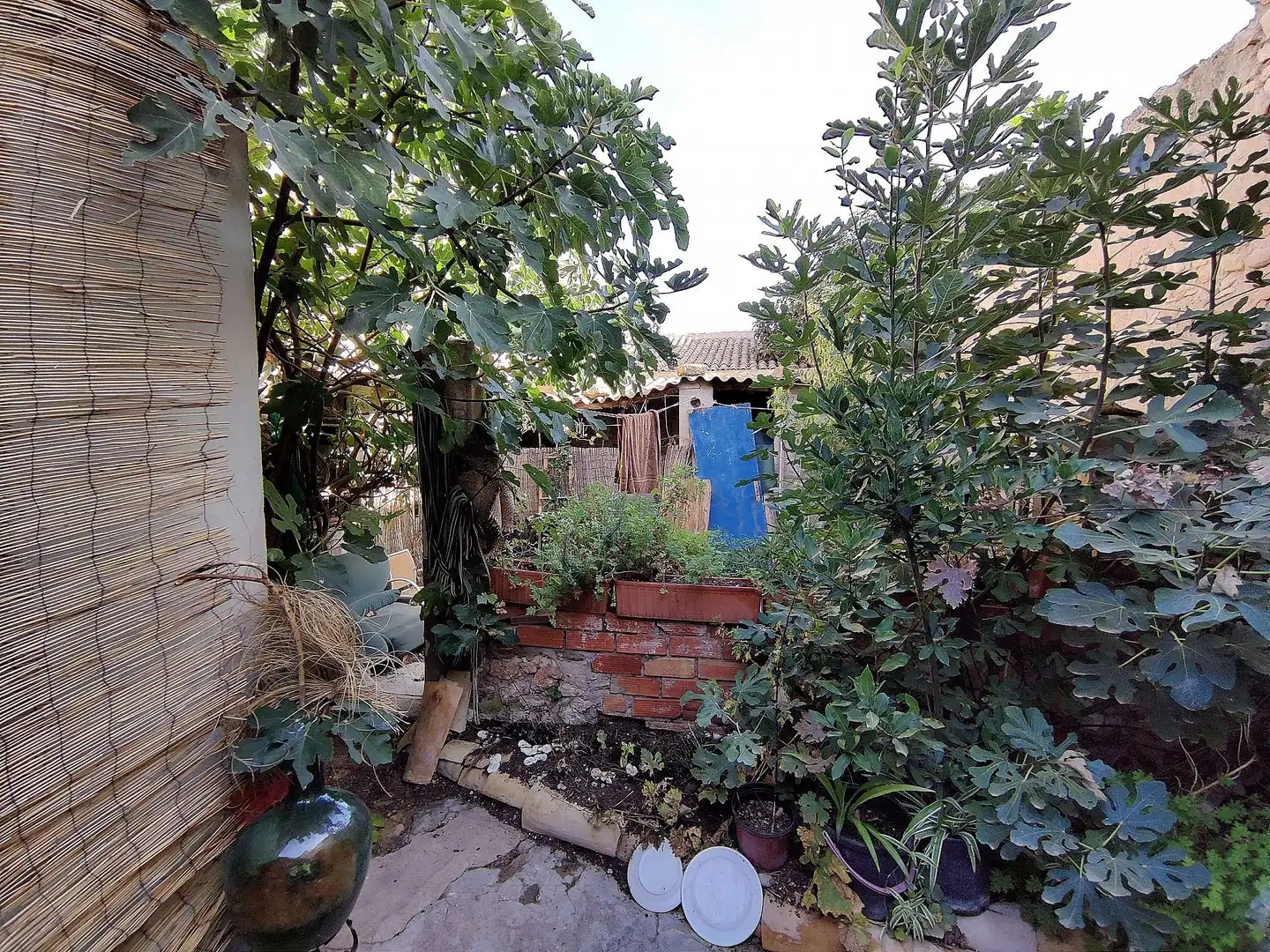 Country house for sale in Monóvar  / Monòver, imagen 8