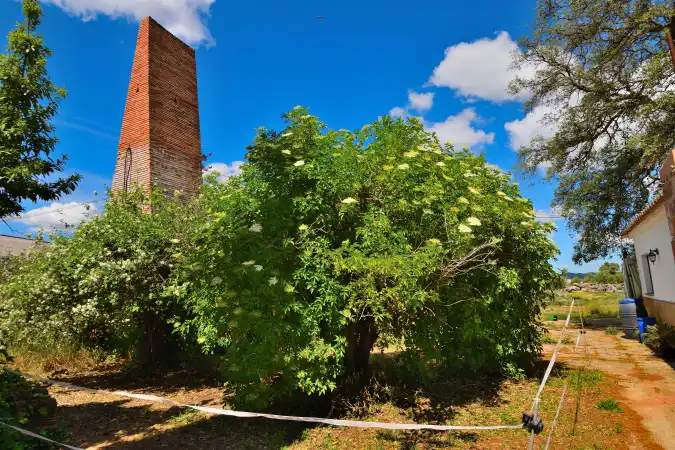 Casa rústica amb jardí en venda a Cuevas del Becerro, imagen 8