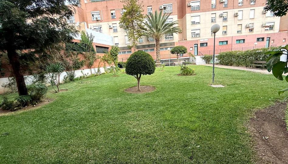 Photo 1 of Flat to rent in Demóstenes, El Cónsul - Ciudad Universitaria - El Romeral, Málaga