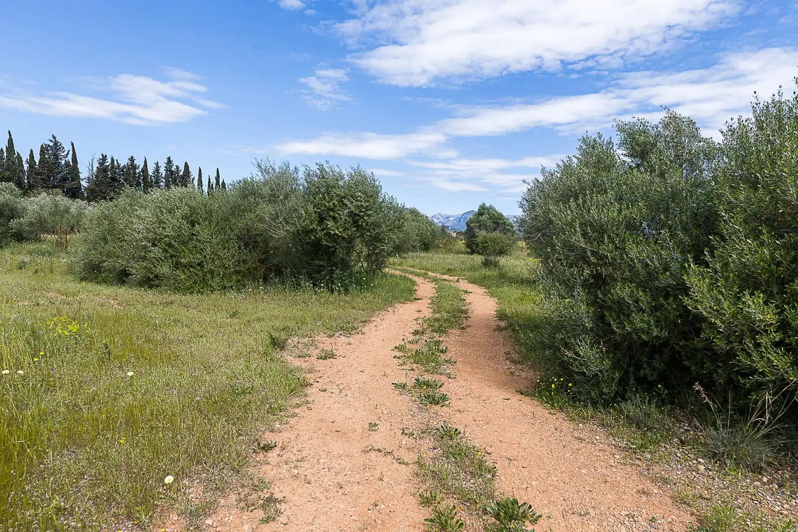 Terreny rústic en venda a Santa María del Camí, imagen 9