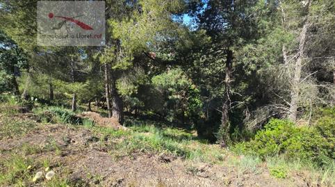 Photo 5 of Residential for sale in Carrer Alguer, 2, Canyelles, Girona