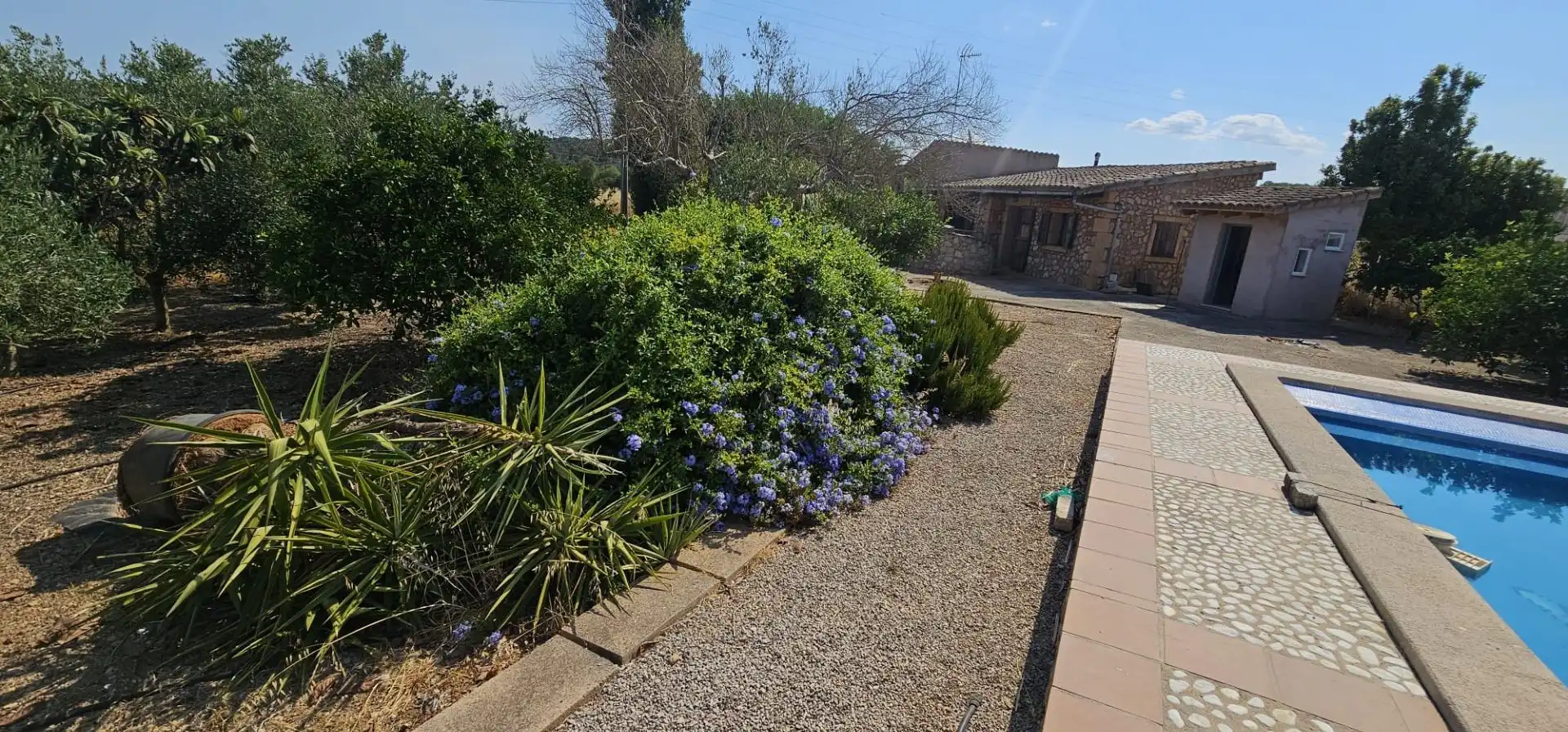 Maison rustique avec piscine à louer à Manacor Centre, imagen 51