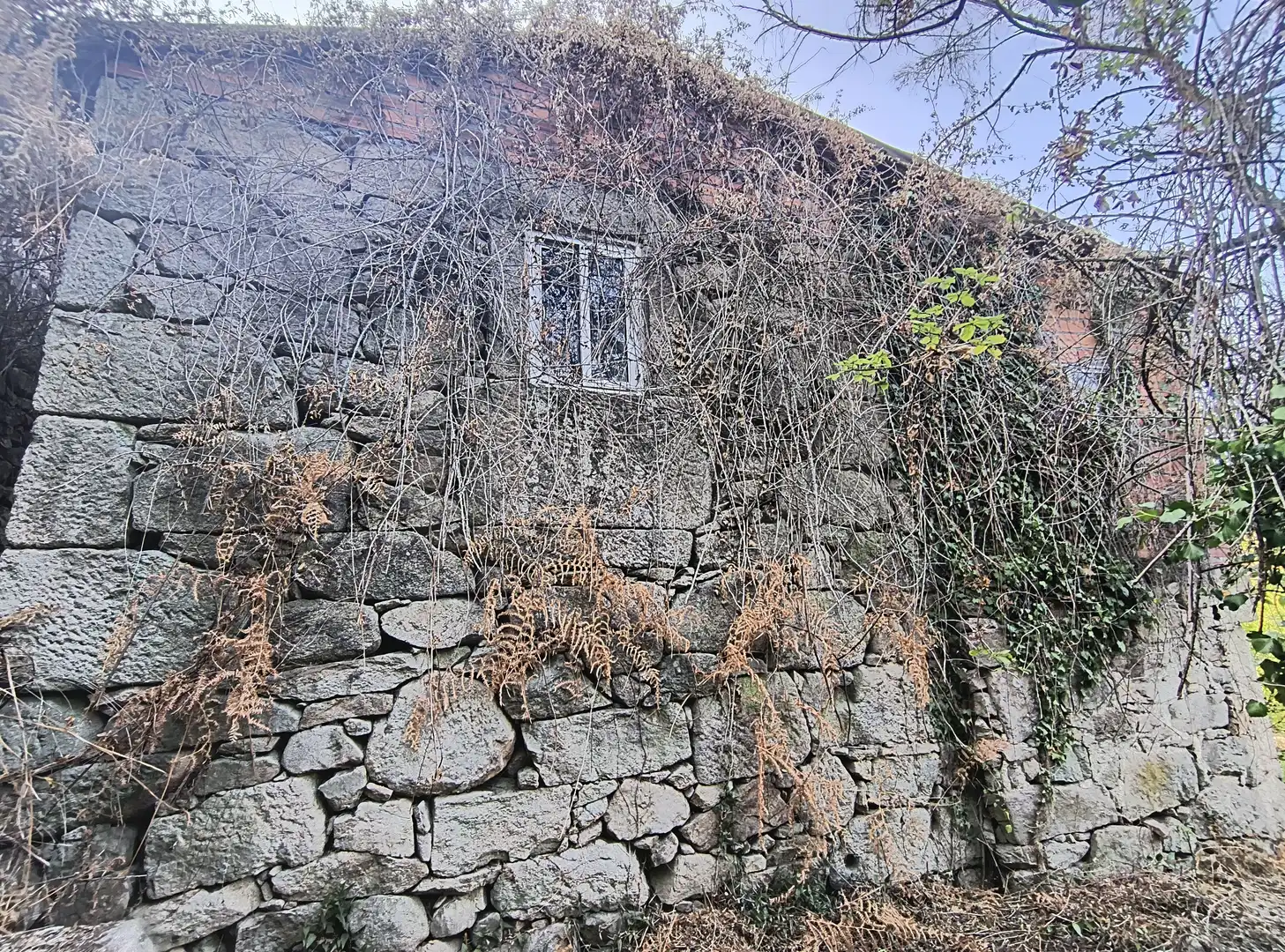 Vista exterior de Casa o xalet en venda en Arbo