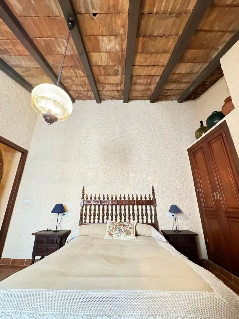 Casa rústica amb terrassa en venda a Feria 1, imagen 29