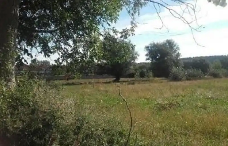Terreni e lotti in vendita a EL VAGO 26