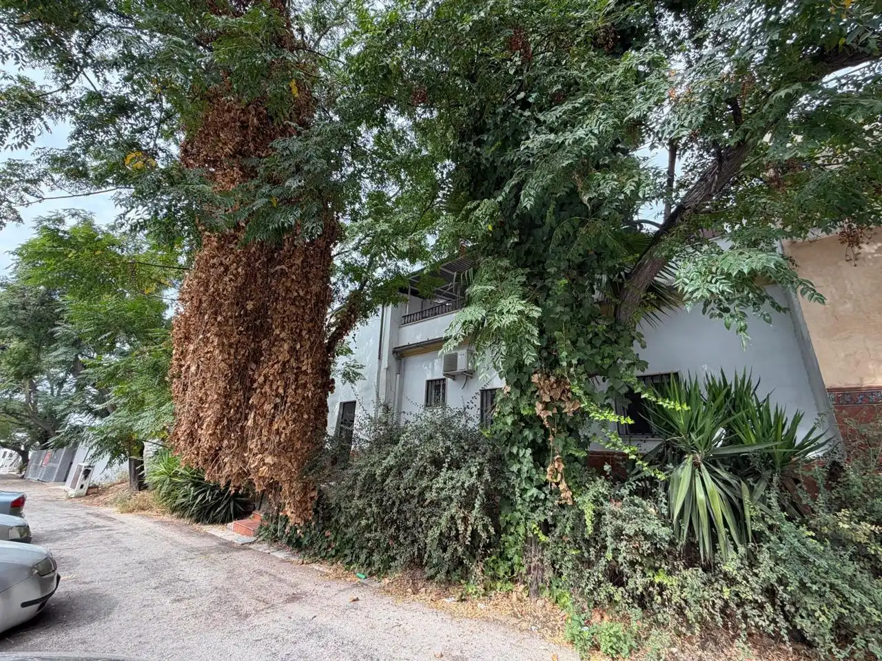House for sale in Calle Belén 13, imagen 41