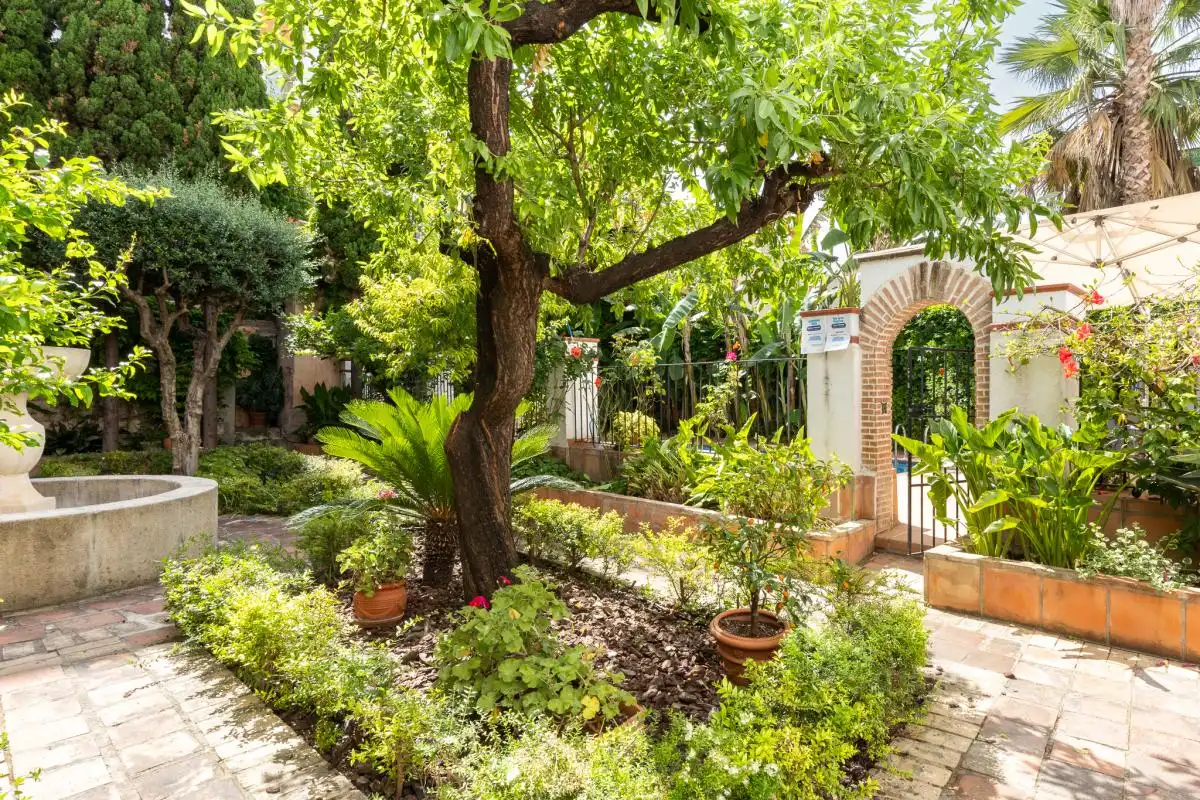 Casa o chalet en venta en C/ Canonge Cebrià, Xàtiva