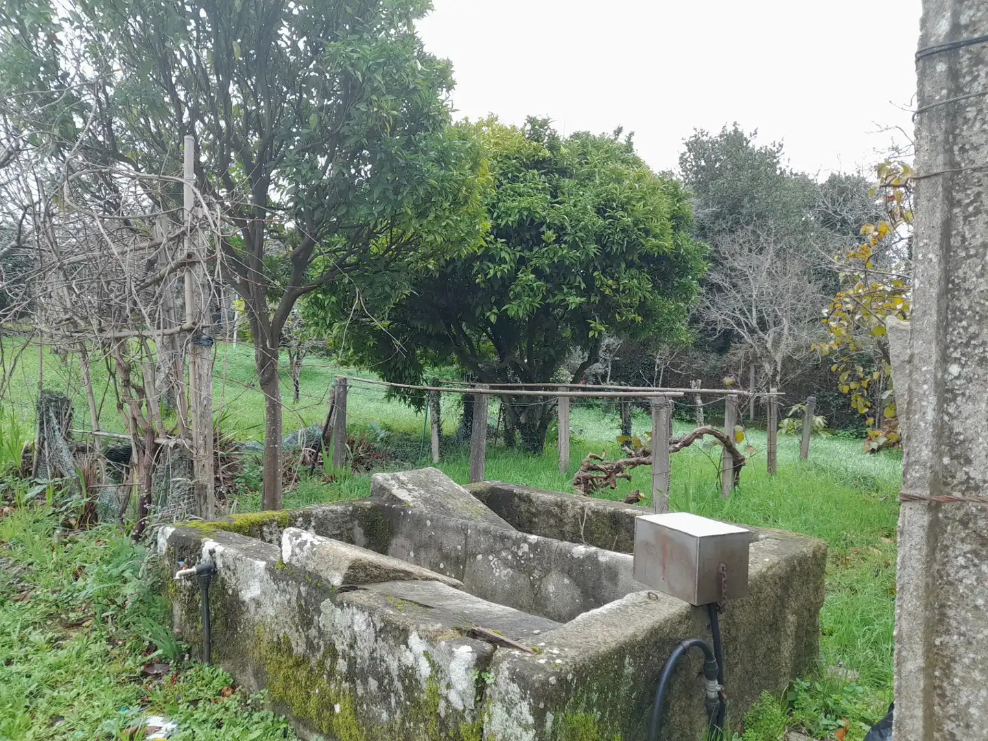 Jardí de Casa o xalet en venda en Pontevedra Capital  amb Moblat