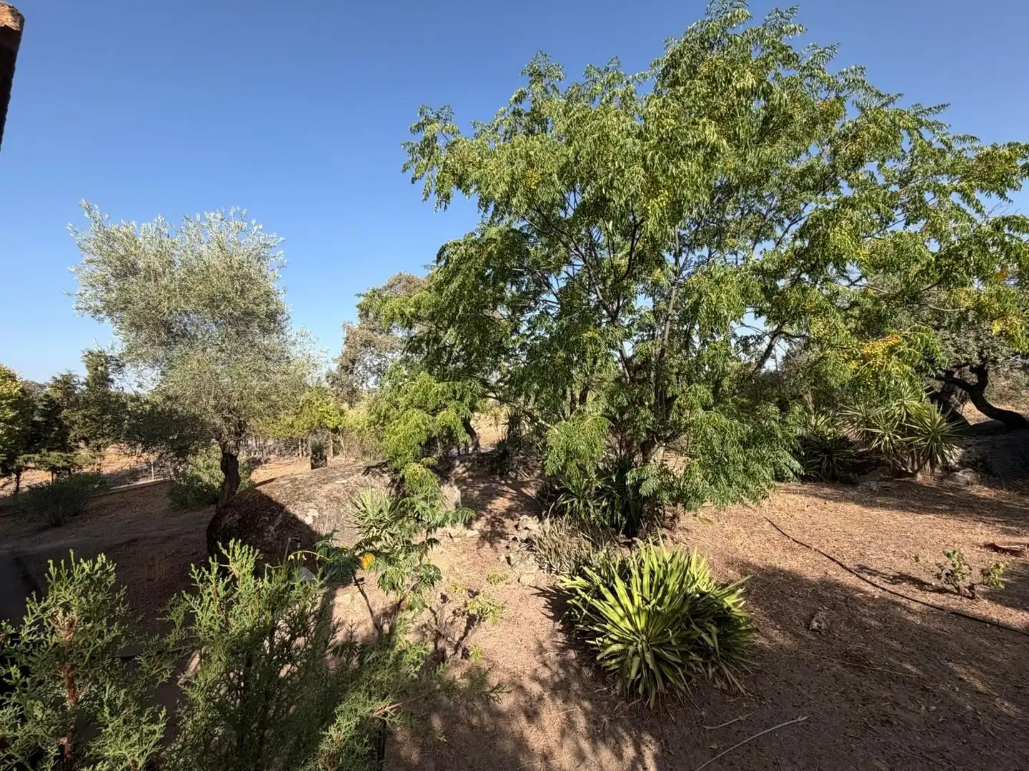 Casa en venta en Arroyo de la Luz, imagen 35
