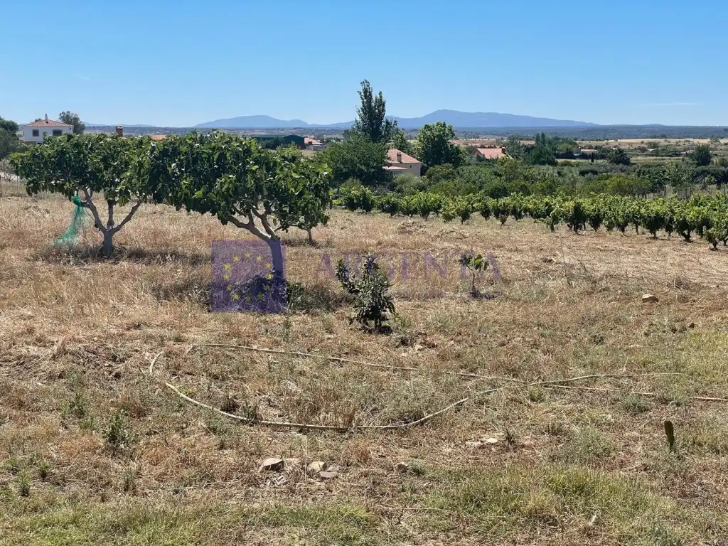 Finca rústica en venda a Finca Villa Amalia, Valdesalor - Rincón de Ballesteros