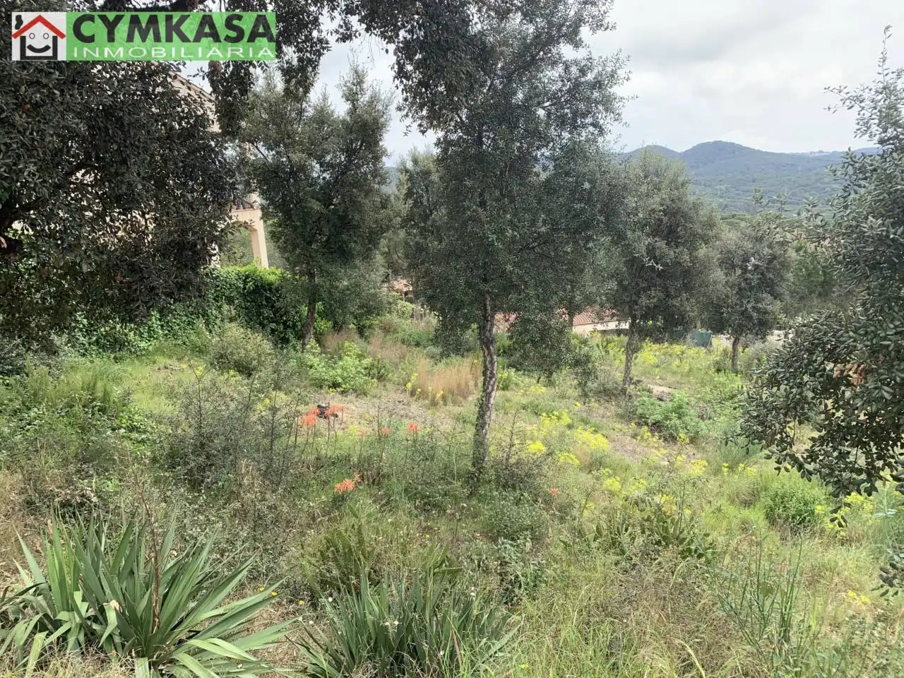 Terreno residencial en venta en Mas Mora - Sant Daniel, imagen 7