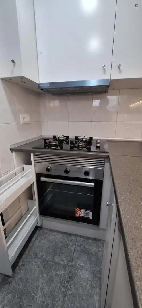 Cocina de Apartamento para compartir en Barcelona con Amueblado, Horno y Lavadora