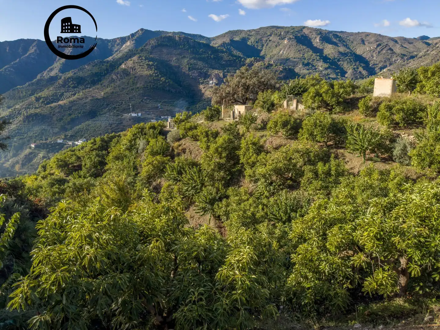 Finca rústica en venda en Los Guájares amb Terrassa i Traster