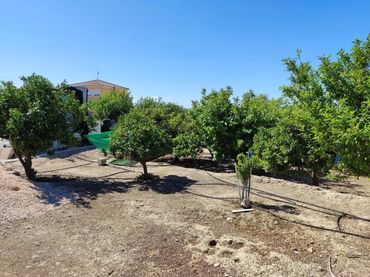 Terreni e lotti in vendita a El Llano