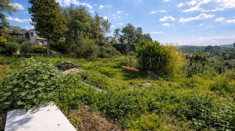 Photo 4 of Houses for sale in Calle Can Mitjans, Avinyonet del Penedès, Barcelona