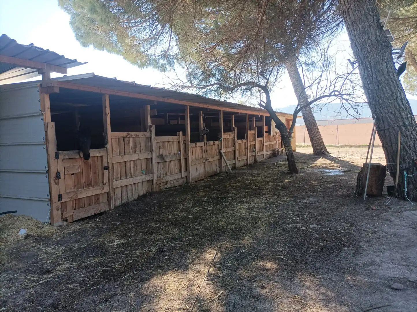 Exterior view of Houses for sale in Traspinedo  with Heating, Private garden and Terrace