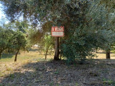 Terreno residenziale in vendita a Urbanitzacio Mas Llunes 1869