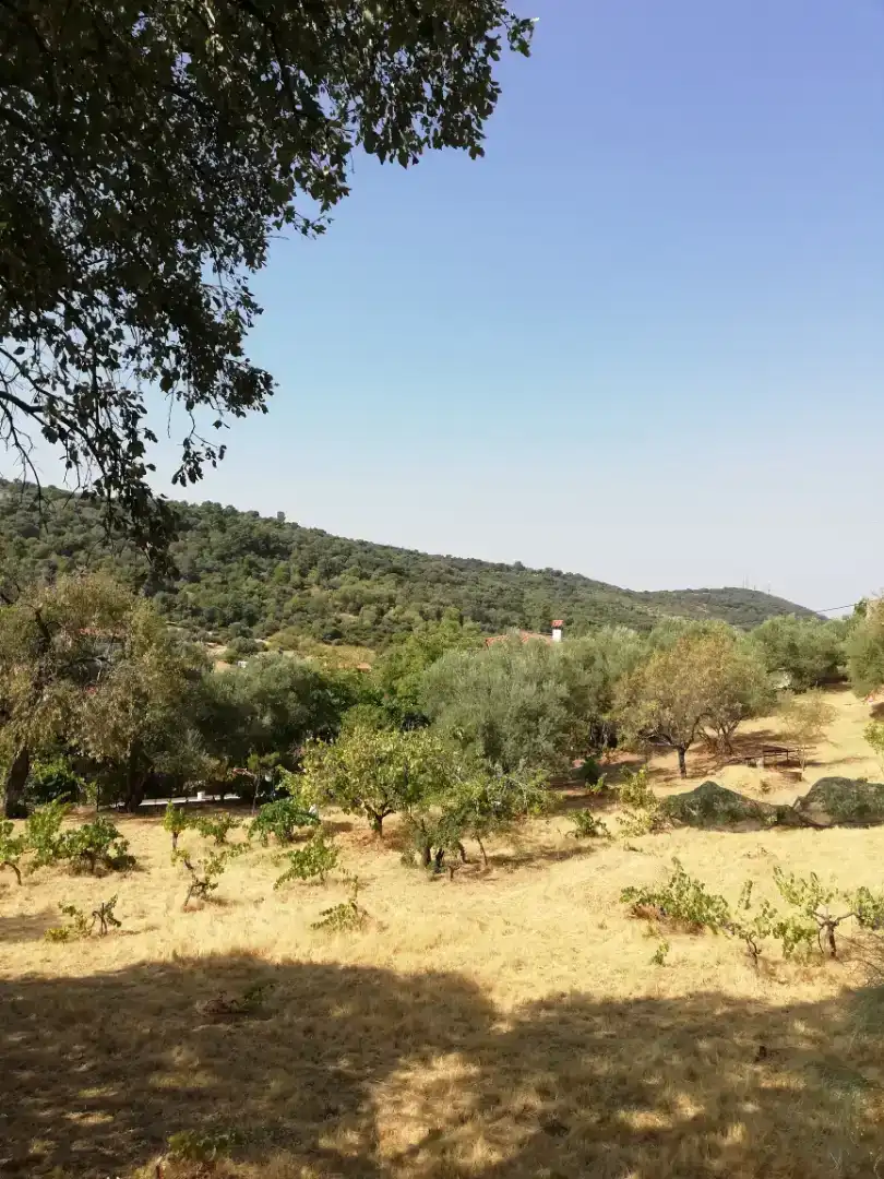 Finca rústica en venda en Plasencia amb Jardí privat, Traster i Piscina