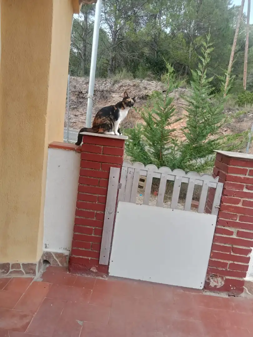 Exterior view of Country homes for sale in Sabadell  with Private garden, Terrace and Furnished