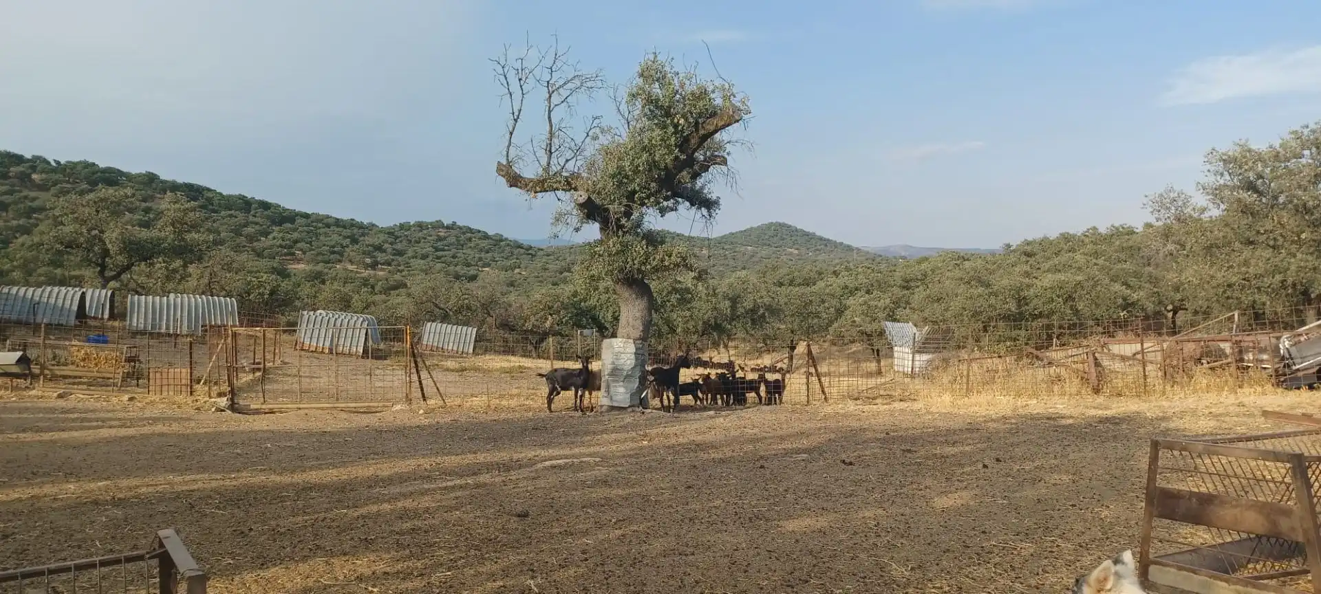 Terreny rústic en venda a Santa Olalla del Cala, imagen 31