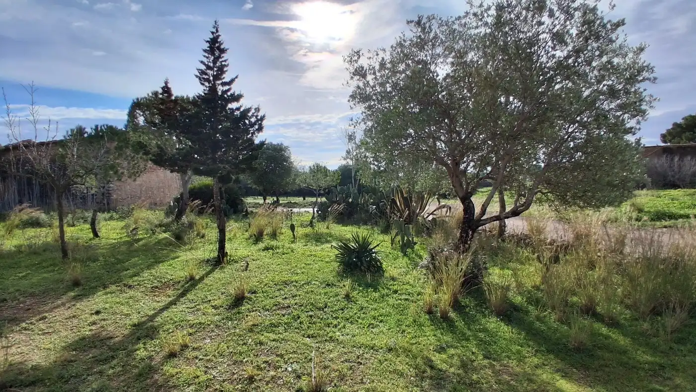 Finca rústica en venta en L'Ampolla