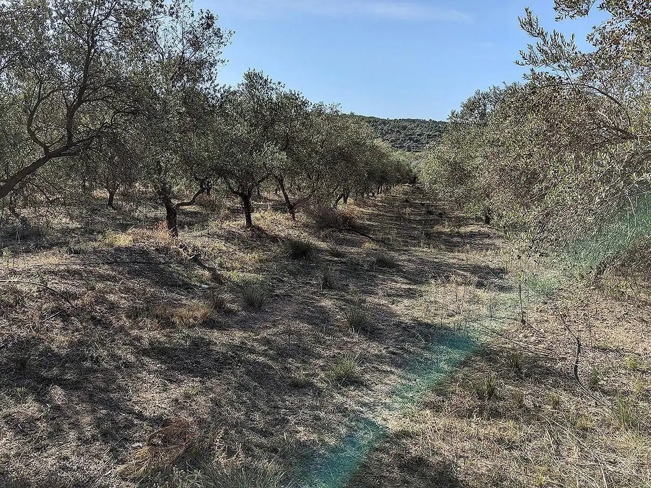 Casa rústica en venta en Ulldecona, imagen 35