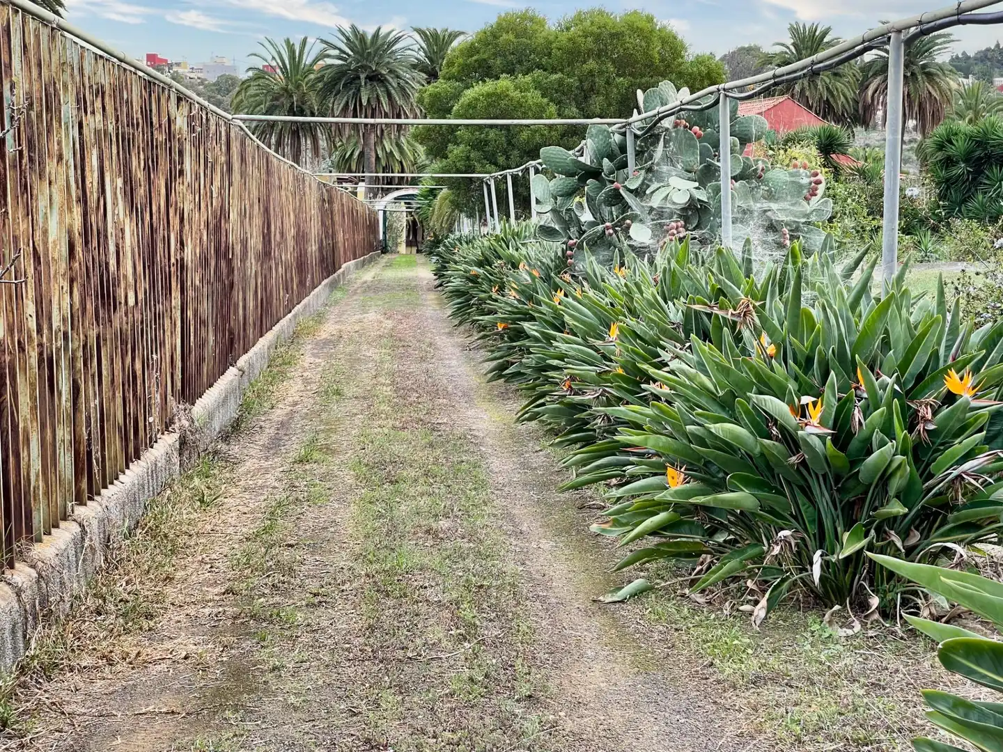 Jardí de Casa o xalet en venda en Santa Brígida amb Terrassa, Traster i Piscina